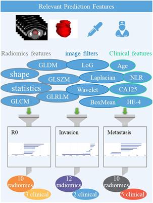 Multitask prediction models for serous ovarian cancer by preoperative CT image assessments based on radiomics